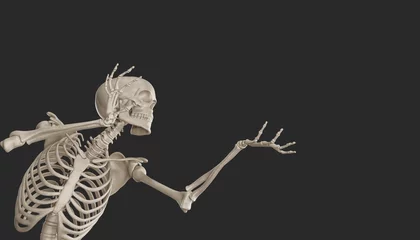 Fotobehang skeleton posing 3d render  © dada_design