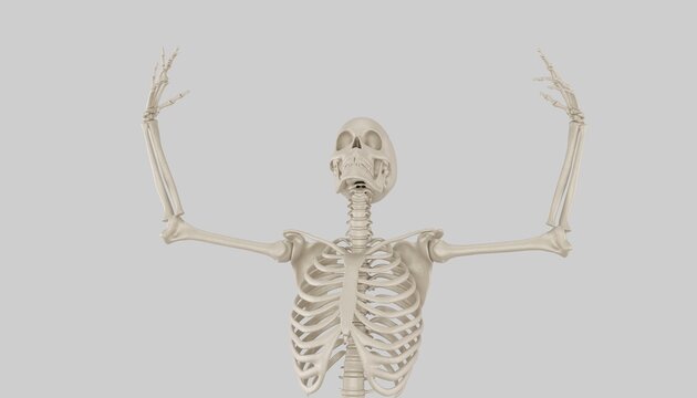 skeleton posing 3d render 
