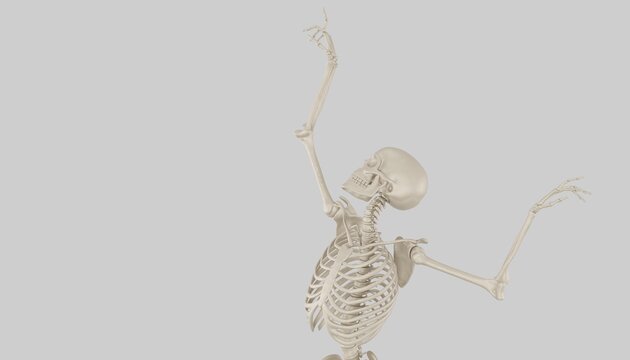 skeleton posing 3d render 