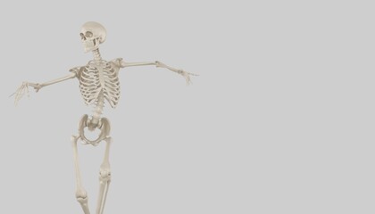 skeleton posing 3d render 