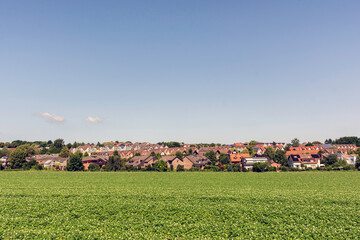 panorama of the city