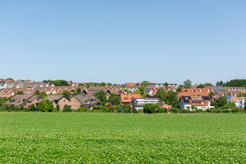 Fototapeta na wymiar landscape with houses
