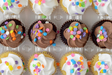 chocolate and vanilla cupcakes with sprinkles