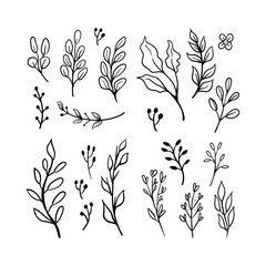 Floral ornaments doodle set. Hand drawn tree branches with leaves and flowers
