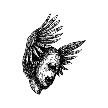 Etched vector illustration. Street art work. Hand drawn ink sketch of head of one eyed mutant with wings and feathers. Hell creature and absolute evil of fallen angels. Occult satanism.
