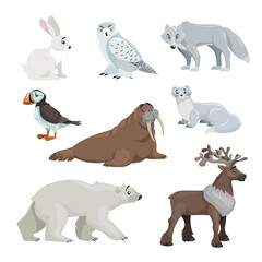 Cartoon polar and arctic animals. Snowy hear, owl, wolf, puffin, walrus, ermine, polar bear and reindeer. Educational vector illustrations collection.