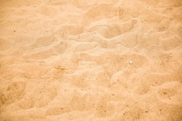 texture of sand