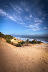 the beautiful beach of Mazagon, Spain. Dunes and green and yellow vegetation. Vacation concept.