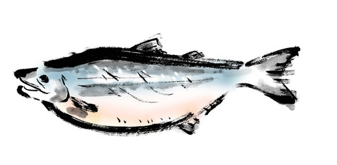 鮭の手描き筆描きイラスト素材