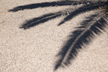 Shadows from palm branches on garden gravel with copy space