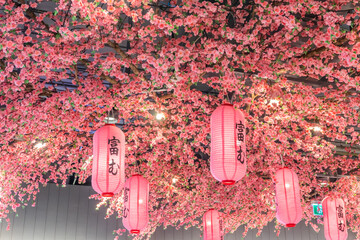 Japanese lantern under the cherry tree (translate text on the lantern reads 
