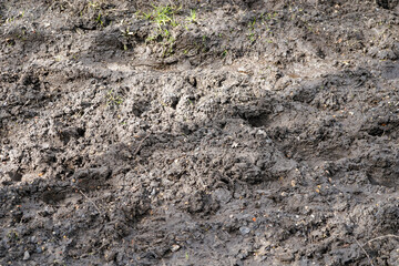 Close up of tyre prints in muddy ground