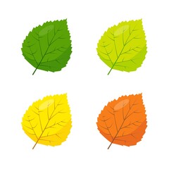 Green, yellow and brown Poplar, Betula or Aspen leaves icons