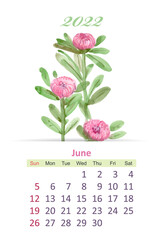 floral calendar 2022. watercolor sketching graceful flowers. jun