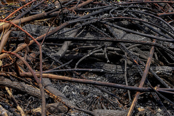 close up of leaves after burning