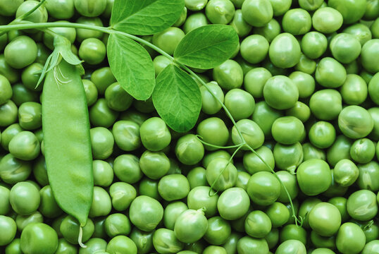 green peas, fresh, summer season vegetables, food backgrounds