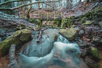 Waterfall in the forest long exposure