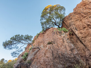 Premiers rayons du soleil éclairant les rochers de l'Esterel en bord de mer dans le Var sur la Côte d'Azur