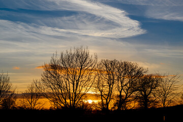 Fototapeta na wymiar Cheshire sunset with tree silhouette