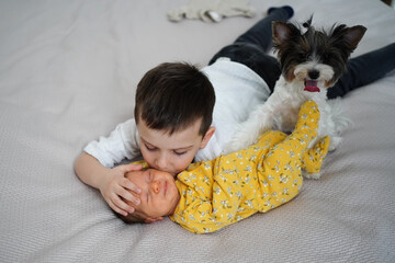 older brother with dog kisses newborn sister. birth of second child in family.