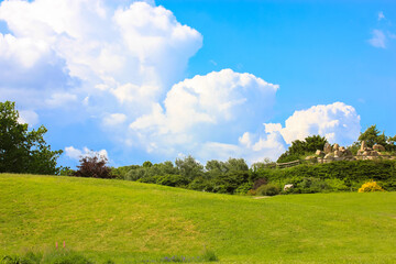 Green grass, trees lush crowns against a blue sky. Hill, lawn in a sunny park.