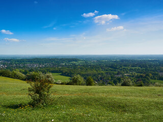 An expansive, sunlit sweep of clouded blue sky, green hill and the towns, fields and woodland of a Surrey valley. A small tree stands as a focal point