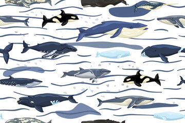 Seamless pattern whales on white background with waves and smudge. Template of cartoon characters of ocean in Scandinavian style for children. © Purple_Lamp
