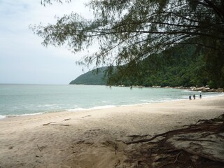 Beautiful view of the beach with blue sky and the trees