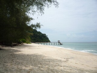 Beautiful view of the beach with blue sky and the trees