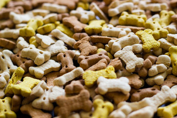 Dog tasty colored biscuits on wooden background, snacks for dogs. Healthy dry pet food concept