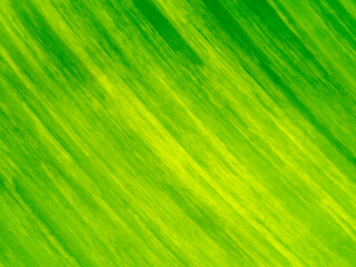 Close up the banana leaves of spotted plant background.