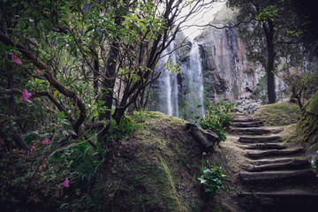 Azores - São Miguel Island