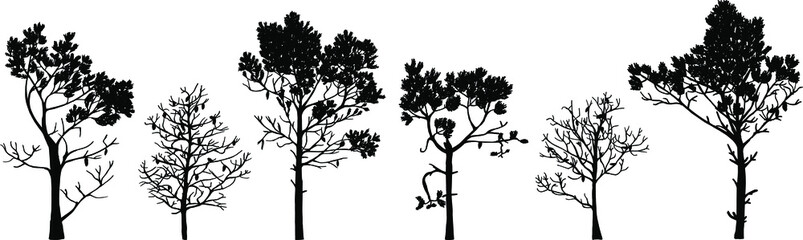 Fototapeta premium Set of tree silhouettes of different types and shapes isolated on white background. Illustration.