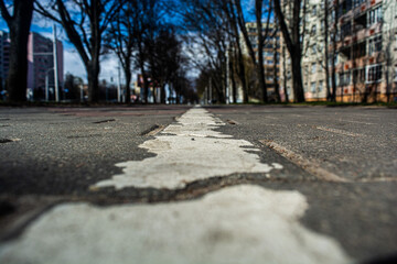 Road in the city in spring