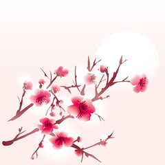 Branch Sakura Blossoms