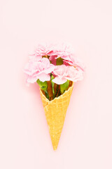 Pink carnation flowers in a waffle ice cream cone on a light pink background. Summer concept