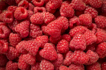 Red ripe raspberries close up. Red berry background