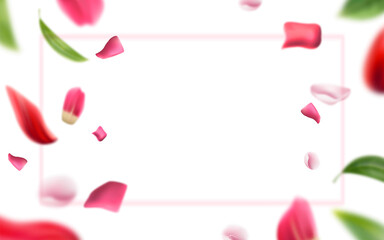 Blurred Rose Petals Leaves Background