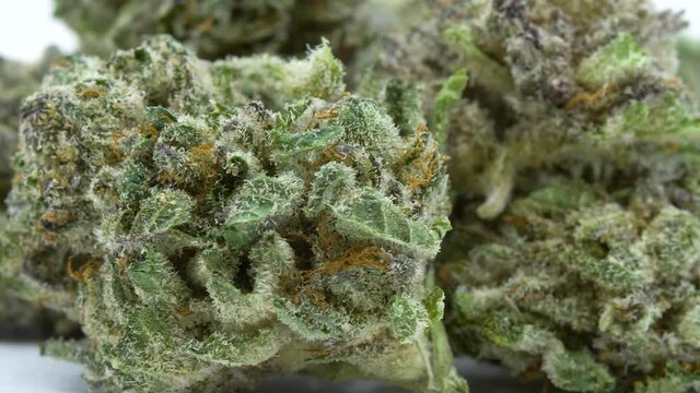 Macro shot of dried cannibis marijuana bud.