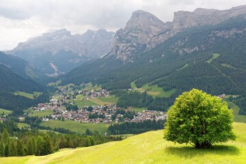 A lone tree stands on a grassy hill under summer sunshine and the beautiful La Villa village spreads out in the green valley under alpine mountains in Alta Badia, Dolomiti, Trentino-South Tyrol, Italy