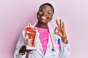 Young african american doctor woman holding anatomical model of respiratory system doing ok sign...