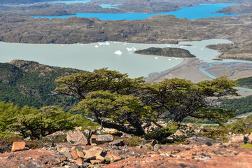 Patagonian landscape at Torres del Paine national park