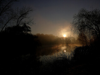 Promienie wschodzącego słońca na stawie podczas listopadowego świtu w Parku Śląskim w...