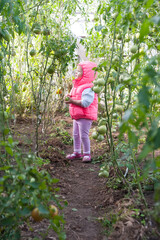 Lovely girl in hothouse with tomato plants