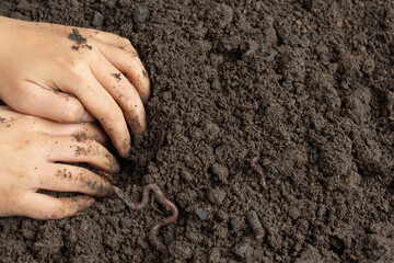 Hand holding black soil for cultivating crops world soil day concept