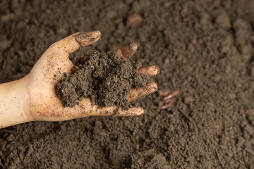 Hand holding black soil for cultivating crops world soil day concept