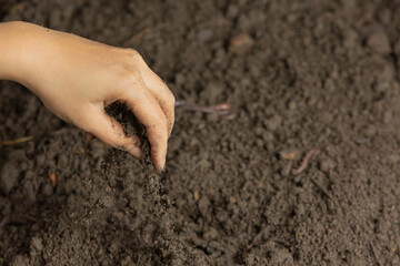 Hand holding black soil for cultivating crops world soil day concept