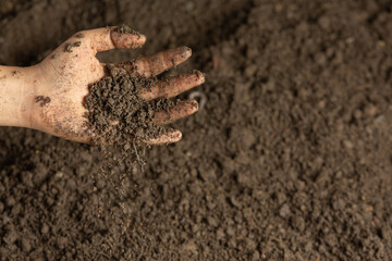 Hand holding black soil for cultivating crops world soil day concept