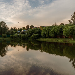 Nice green trees and bushes reflecting in a mirror pond surface