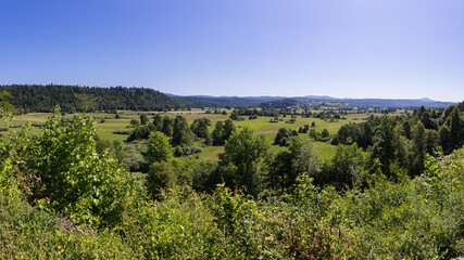 Fototapeta na wymiar Idyllic landscape in Planina, Slovenia